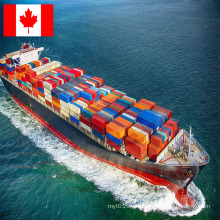 Professional Transport Shipping Agenc From China To Canada